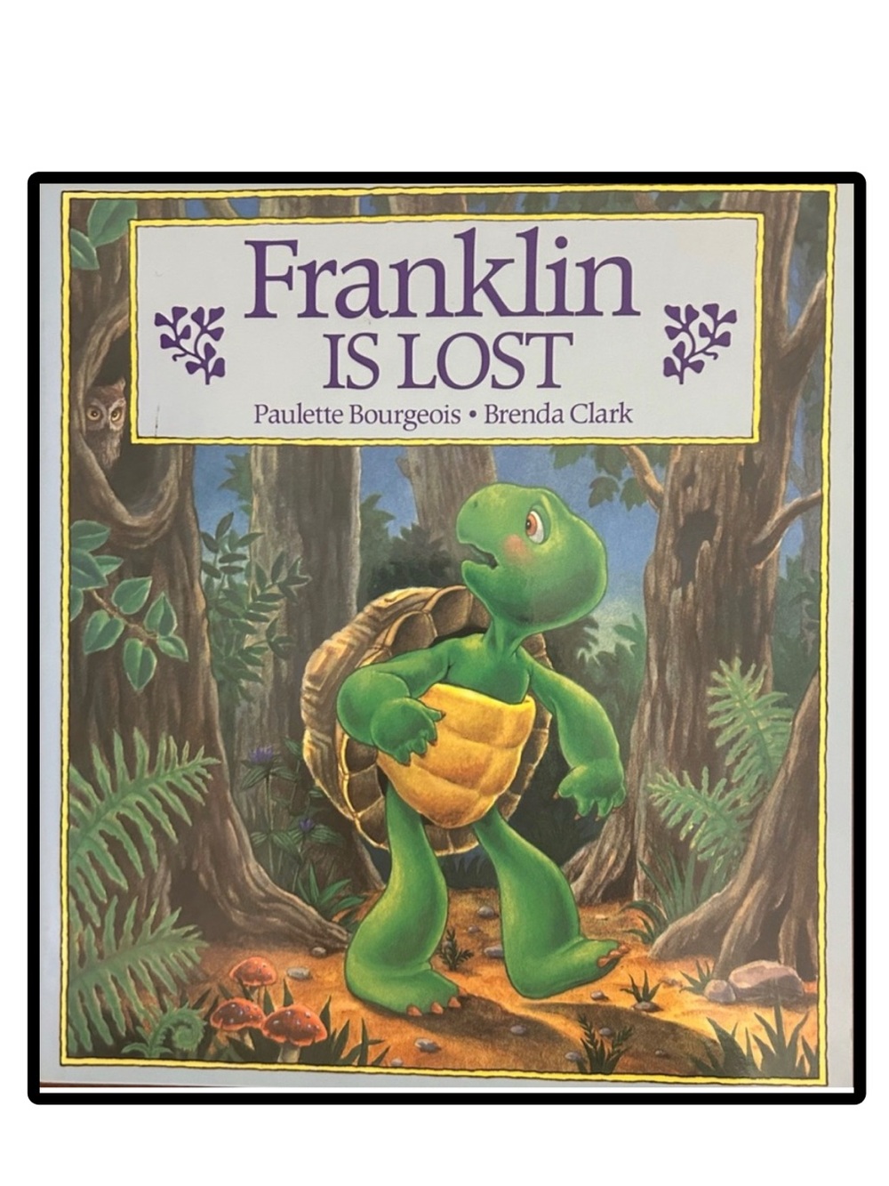 BUNDLE & SAVE 🎉Franklin Is Lost Softcover Book